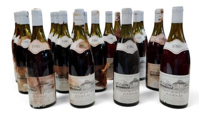 plusieurs bouteilles de vin sont alignées sur une surface blanche
