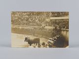 une vieille photo d'un taureau dans une arène