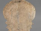 a close up of a piece of wood on a gray surface