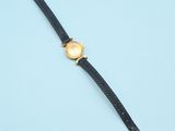 a gold and black watch with a black strap on a blue background