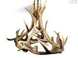 un lustre en bois de cerf suspendu au plafond
