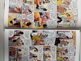 Photo 16/22 du lot