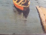 a picture of a cat sitting in a boat on the water