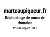 Photo 1/1 du lot