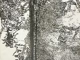 un dessin en noir et blanc représentant un arbre dans les bois