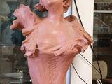 a statue of a woman holding a bird in a glass case