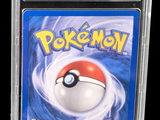 the game is in a plastic case with a white ball inside
