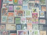 de nombreux timbres exposés sur la table