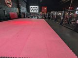 a view of a pink carpet in a boxing ring at night
