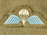 the badge of a parachutist with a parachute attached to it