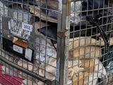 a metal cart with a lot of items in it