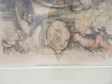 Photo 4/6 du lot