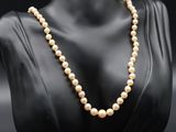 a white pearl necklace on a mannequin mannequin mannequin mannequin mannequin mannequin mannequin mannequin manne