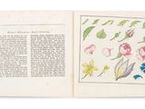 un livre ouvert sur lequel est dessiné un motif de fleurs et de feuilles