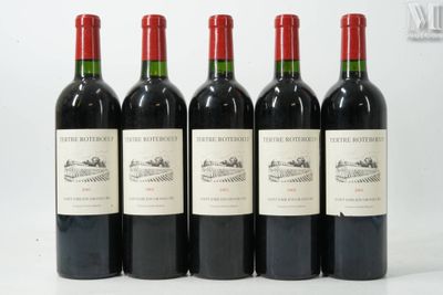 six bouteilles de vin sont alignées sur une surface blanche