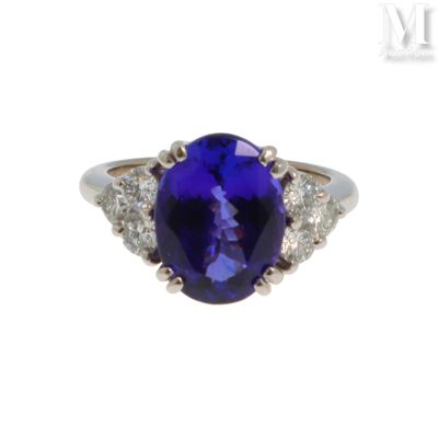 Bague tanzanite Bague en or gris 18K (750°/°°) ornée d'une t…