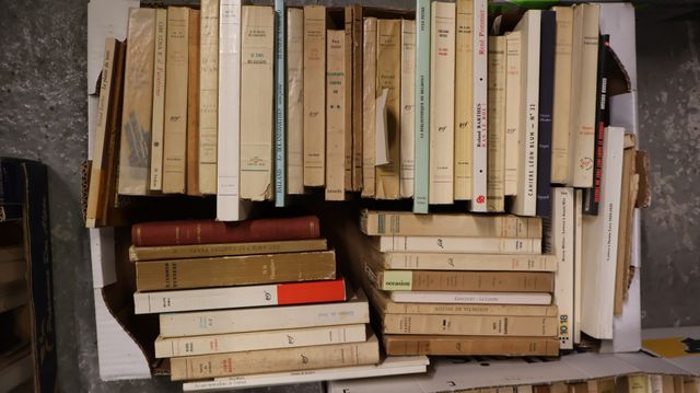 Lot de livres sur la littérature et divers.