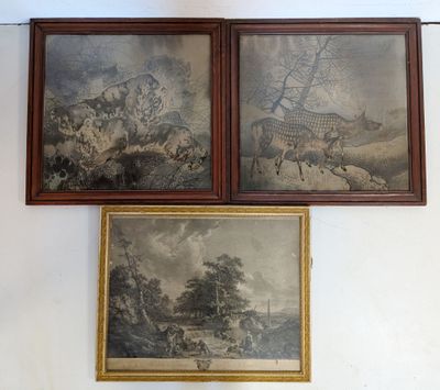 trois photos d'animaux encadrées accrochées au mur d'une pièce
