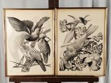 un couple d'oiseaux sur une branche et un oiseau sur une branche, le tout dans un cadre