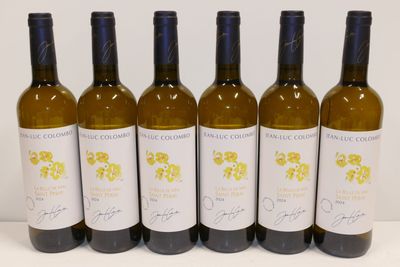 six bouteilles de vin sont alignées sur une table