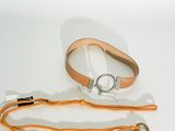 une ceinture munie d'un anneau métallique auquel est attachée une lanière