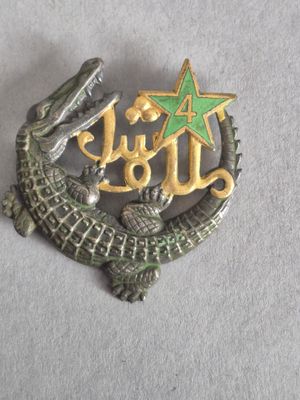 un insigne représentant une étoile posée sur un crocodile