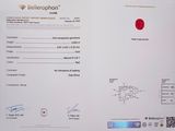a picture of a certificate with a red dot on it