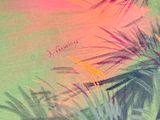 an image of a painting of a palm tree with a pink sky in the background