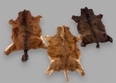 Réunion de 3 tapis en peau, de teintes différentes (poney sc…