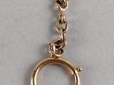 an image of a close up of a gold chain with a ring on it