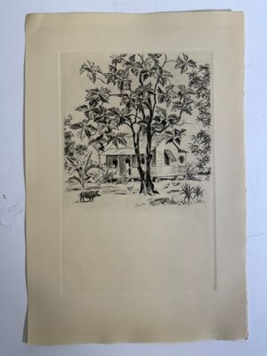 un dessin en noir et blanc représentant un arbre devant une maison