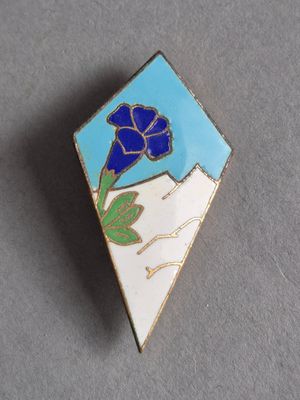 un gros plan d'une broche de revers ornée d'une fleur