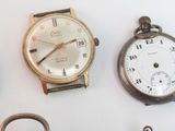 many different types of watches displayed on the wall
