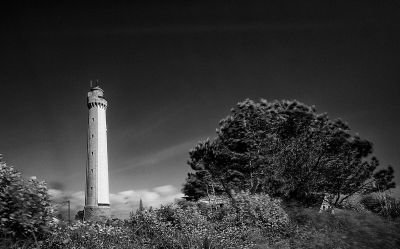 photographie en noir et blanc d'un phare entouré d'arbres et de buissons