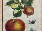 painting of an apple and a bee on a branch with leaves and flowers