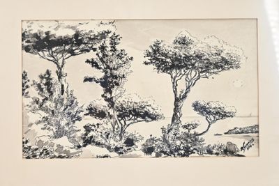 un dessin en noir et blanc représentant des arbres dans une forêt