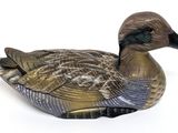 a duck that is sitting on the ground on a white surface