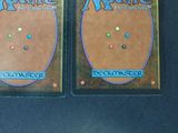 pair of magic the gathering deck protectors for deckmaster