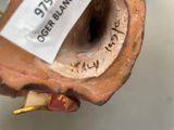 a close up of a brown vase with a label on it