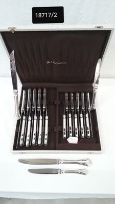 a case with a set of knives and knives in it
