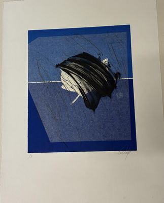 une image représentant une image d'un parapluie sur fond bleu