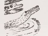 un dessin représentant un crocodile flottant dans l'eau