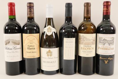 six bouteilles de vin sont alignées sur une surface blanche