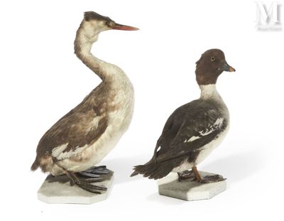 deux figurines de canards posées l'une sur l'autre