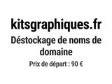 Photo 1/1 du lot