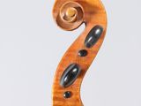 a close up of the back of a violin