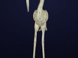 a bronze statue of a bird with long legs and a long neck
