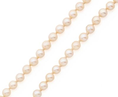 un rang de perles sur fond blanc