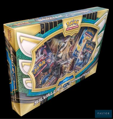 boîte du jeu de cartes à collectionner Pokémon avec l'image d'une femme tenant une épée