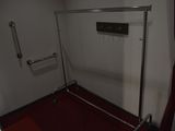 a bathroom with a red carpet and a glass shower door